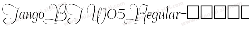 Tango BT W05 Regular字体转换
